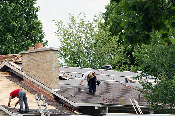 Best Roof Gutter Cleaning  in Kirtland, OH